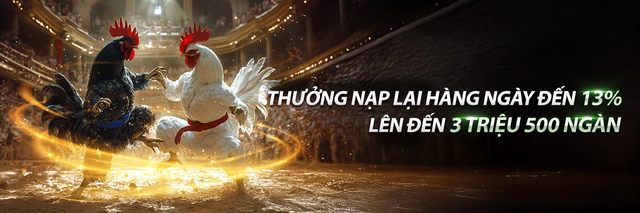Sân đấu đá gà kịch tính trên HI8823 Android